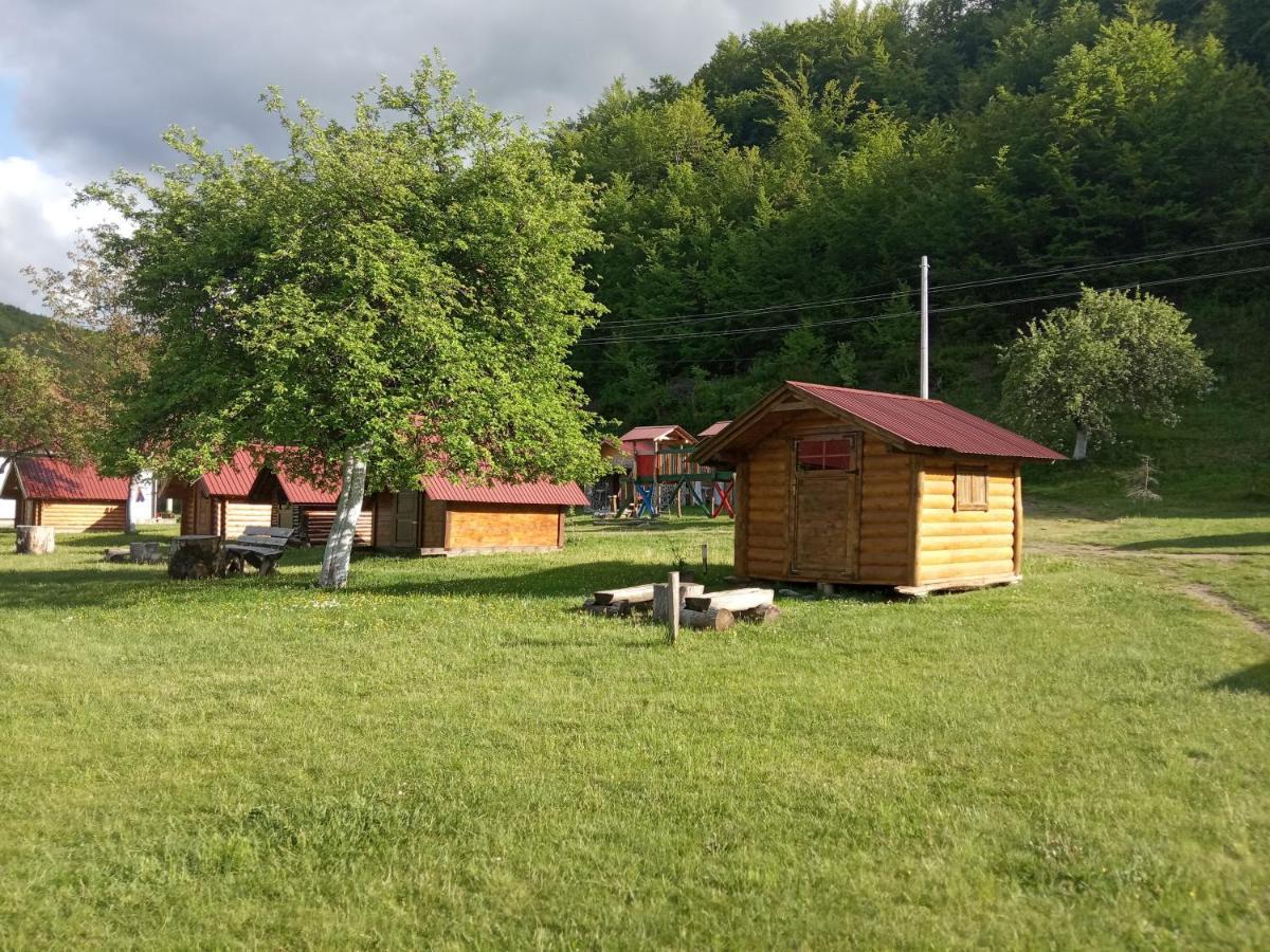 Camp &Apartmens Scepanovic Мойковац Екстер'єр фото