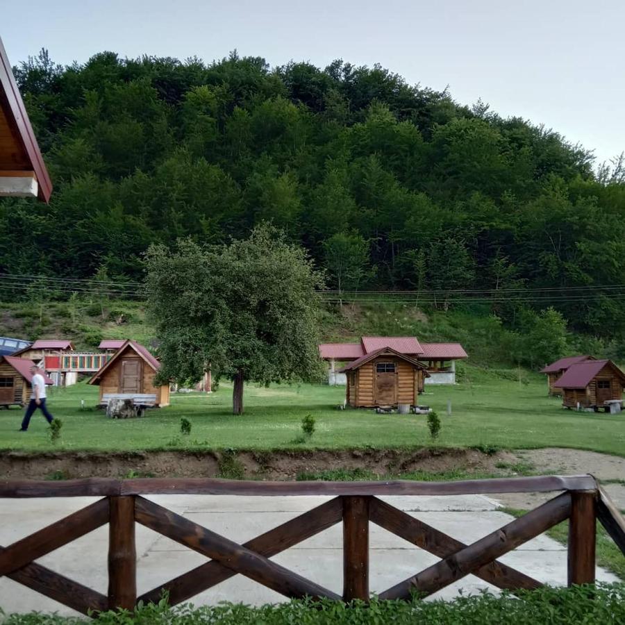 Camp &Apartmens Scepanovic Мойковац Екстер'єр фото