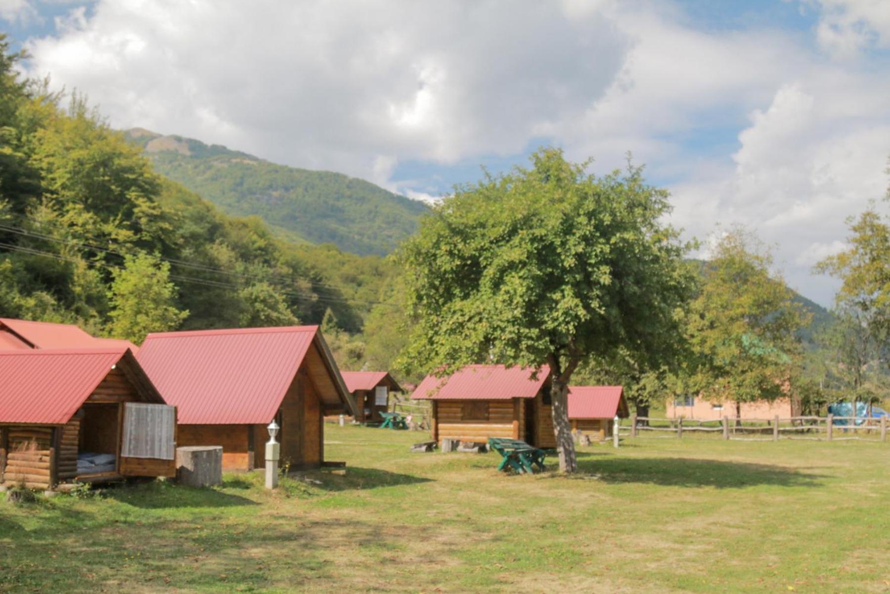 Camp &Apartmens Scepanovic Мойковац Екстер'єр фото