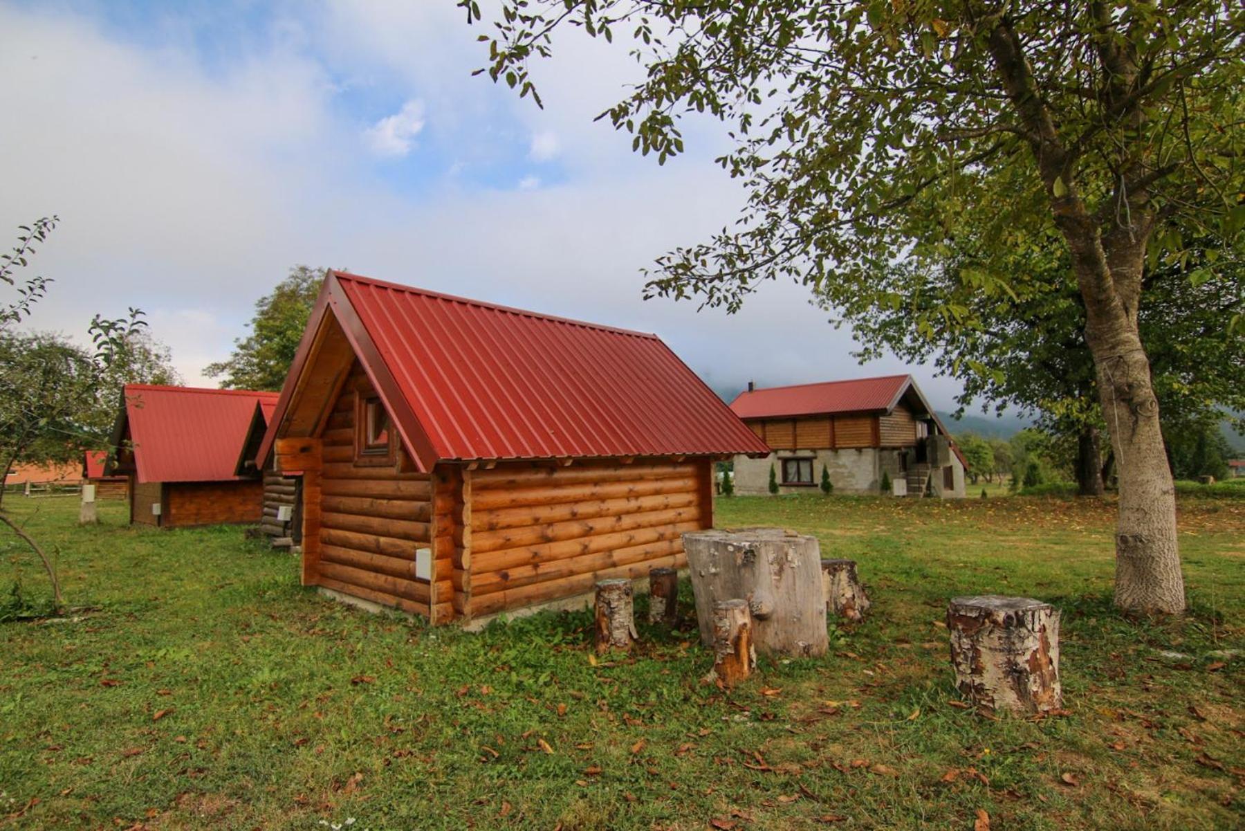 Camp &Apartmens Scepanovic Мойковац Екстер'єр фото