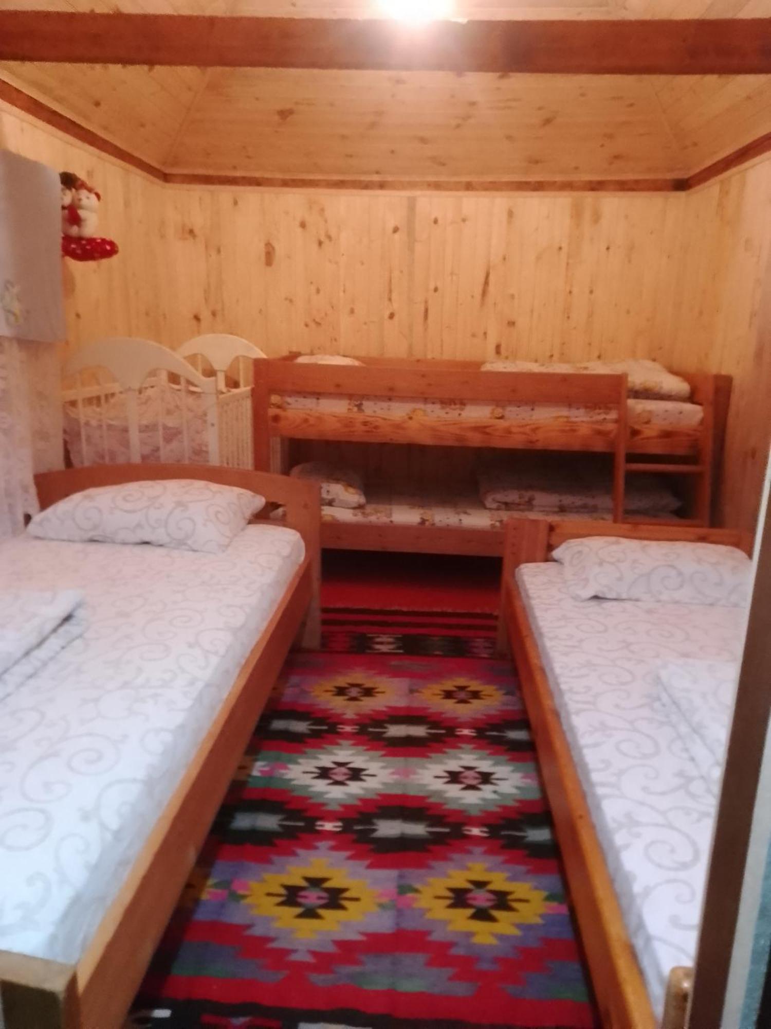 Camp &Apartmens Scepanovic Мойковац Екстер'єр фото