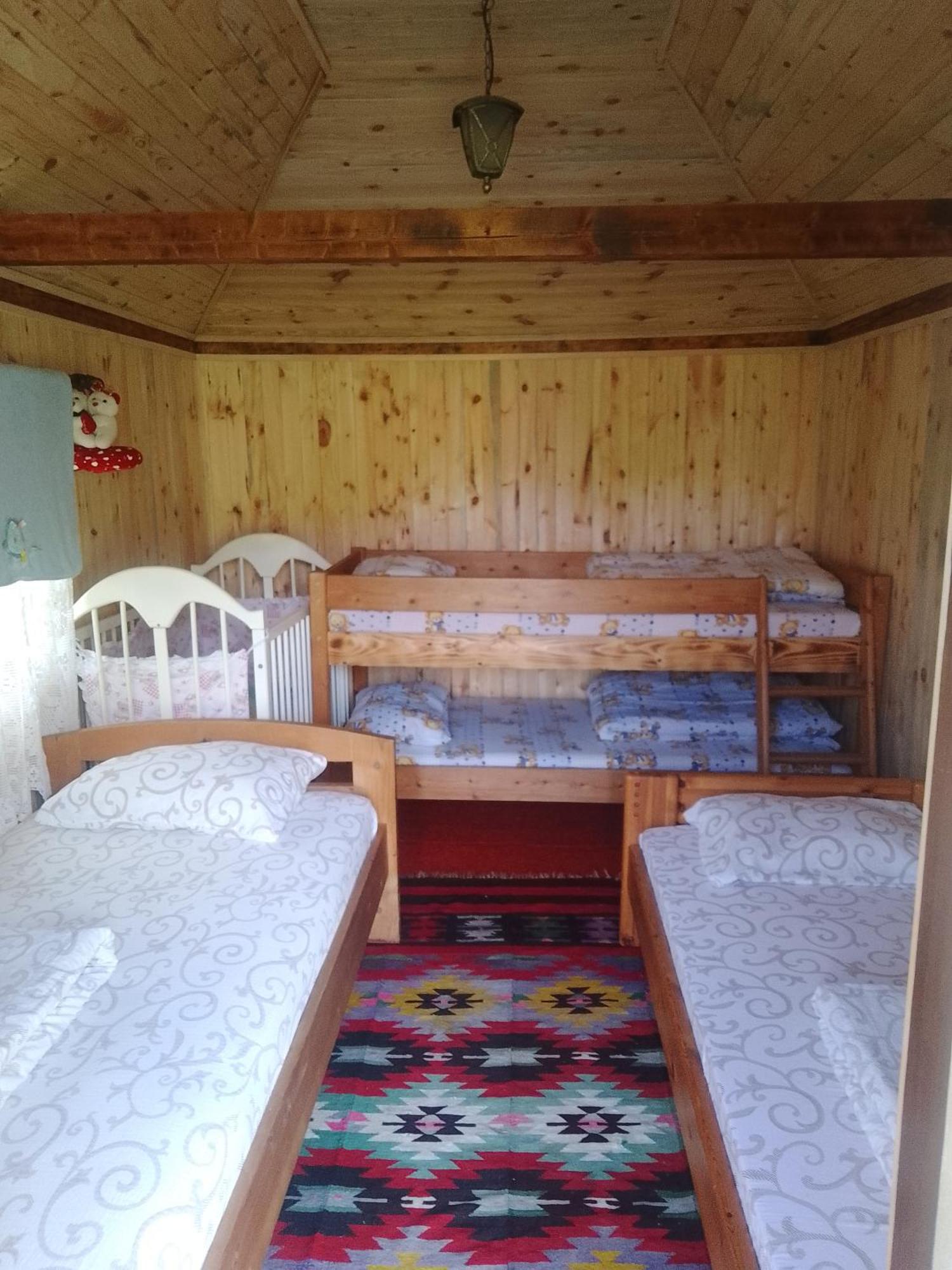 Camp &Apartmens Scepanovic Мойковац Екстер'єр фото