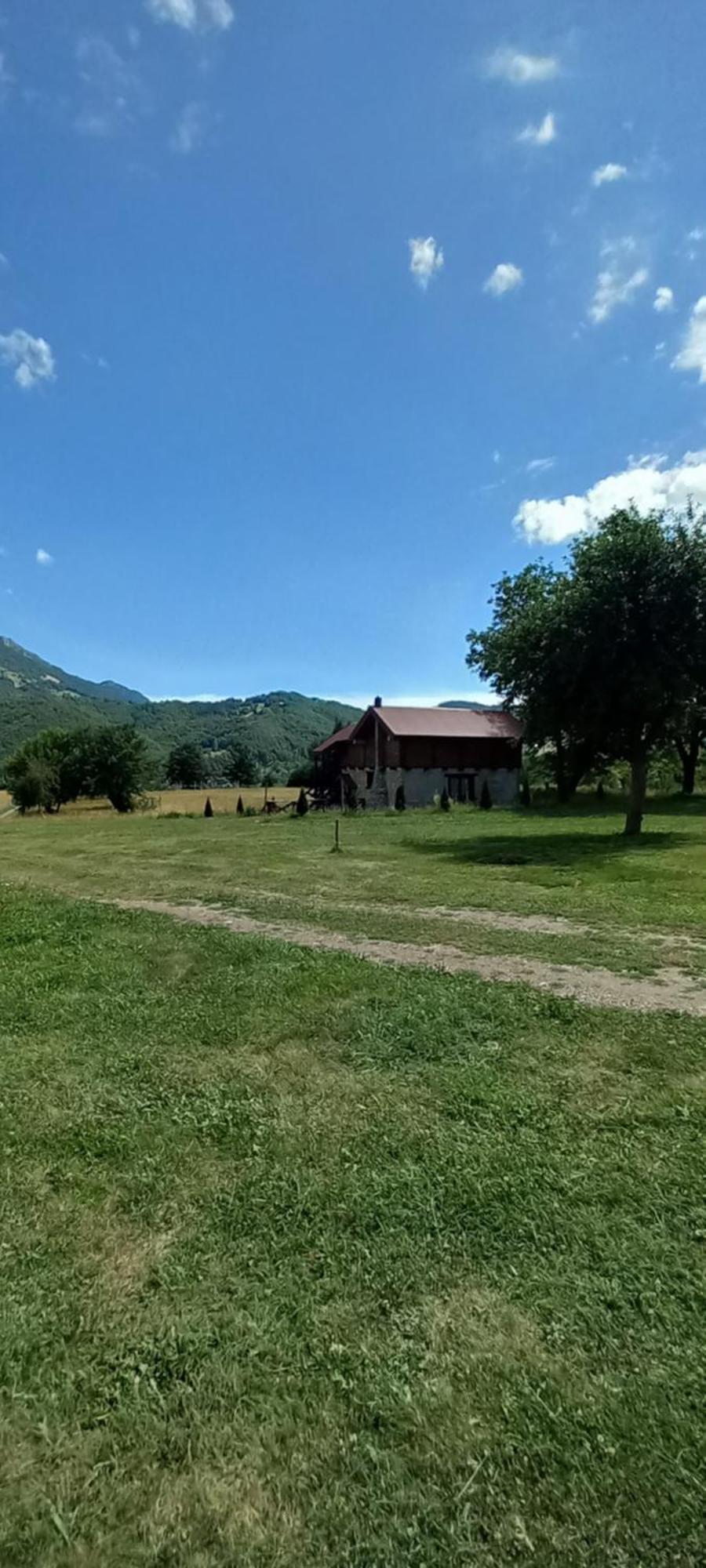 Camp &Apartmens Scepanovic Мойковац Екстер'єр фото