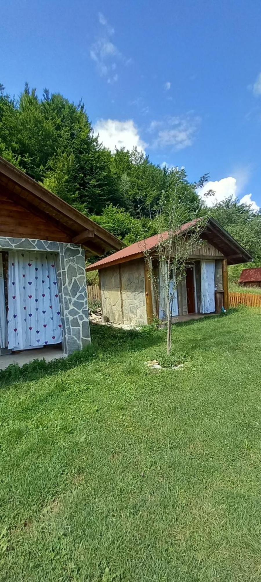 Camp &Apartmens Scepanovic Мойковац Екстер'єр фото