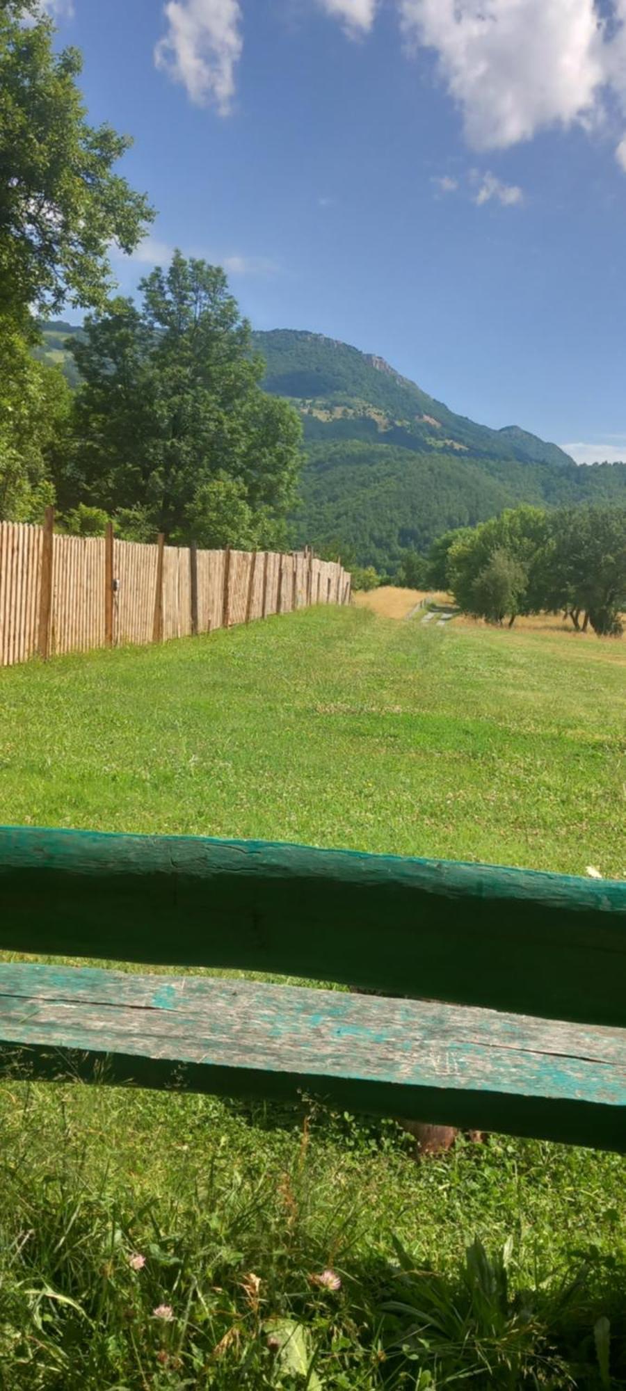 Camp &Apartmens Scepanovic Мойковац Екстер'єр фото