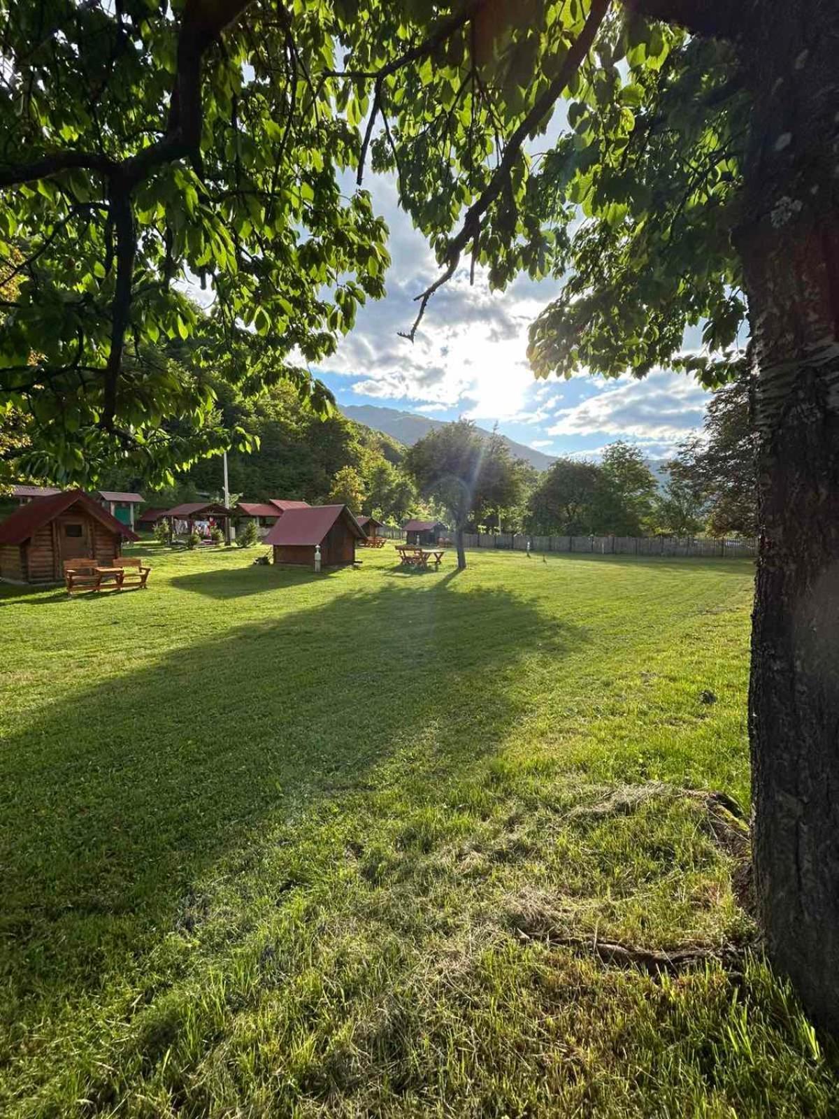 Camp &Apartmens Scepanovic Мойковац Екстер'єр фото